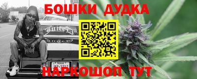 прущие грибы Кандалакша