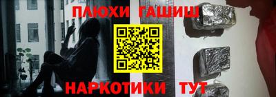 прущие грибы Кандалакша