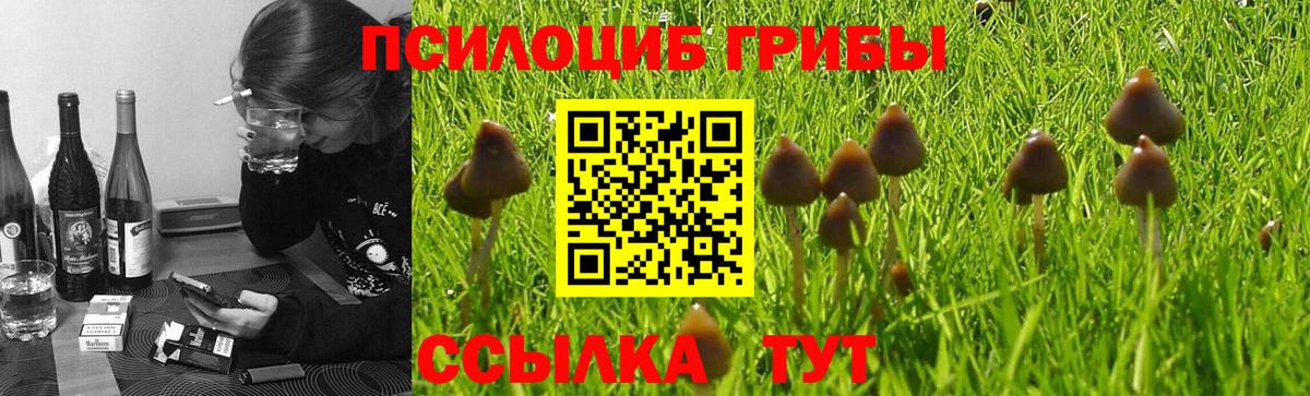Чехов  Псилоцибиновые грибы Psilocybine cubensis  Галлюциногенные грибы MAGIC MUSHROOMS  Вход с VPN 